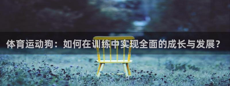 3377体育官方正版app集团官网网址:体育运动狗:如何在训