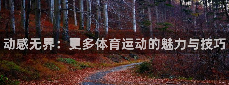 3377体育官网下载开户:动感无界:更多体育运动的魅力与技巧