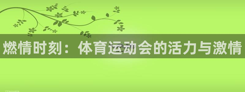 3377体育官网下载平台注册流程图:燃情时刻:体育运动会的活