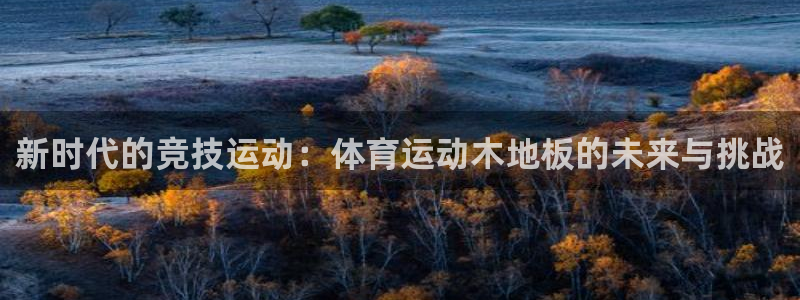 3377体育官网下载平台注册要钱吗安全吗:新时代的竞技运动: